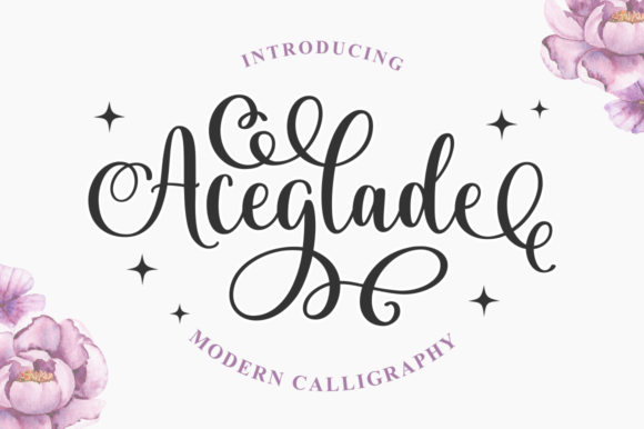 Aceglade: A Magical Script Font for Digital Elegance