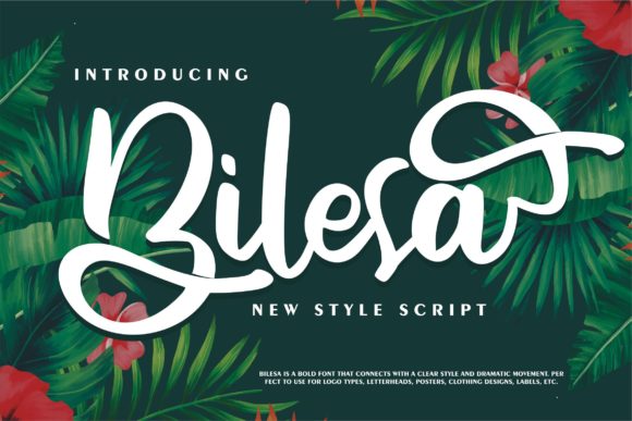 Bilesa: The Perfect Script Font for Handmade Brands