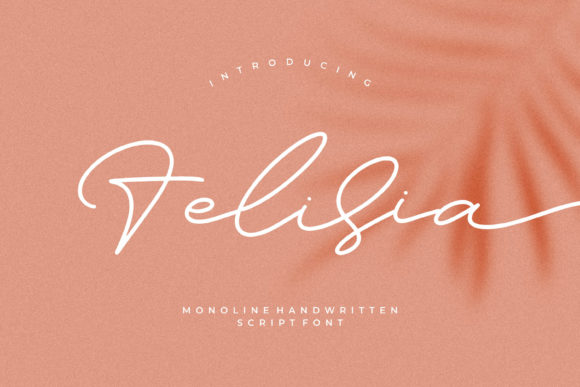 Felisia Font: A Graceful Script for Elegant Branding