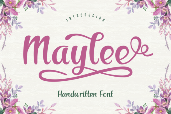 Maylee: A Designer's Take on Bold, Modern Display Typography