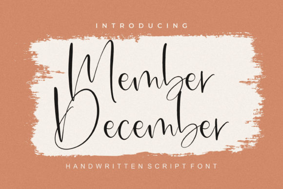 Member December: A Delicate Script Font for Elegant Branding