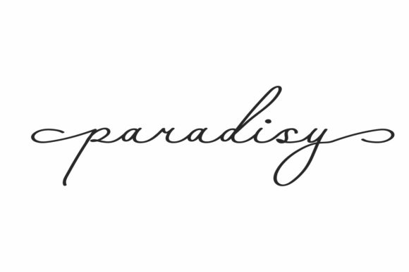 Paradisy: A Designer's Honest Review for Branding