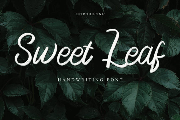 Sweet Leaf: The Script Font That Elevates Your Brand