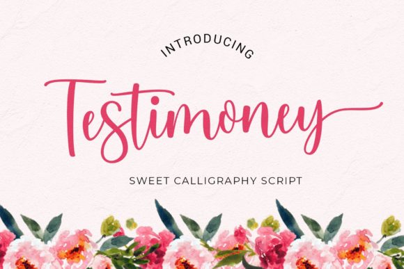 Testimoney: A Delicate Script Typeface for Modern Web Design